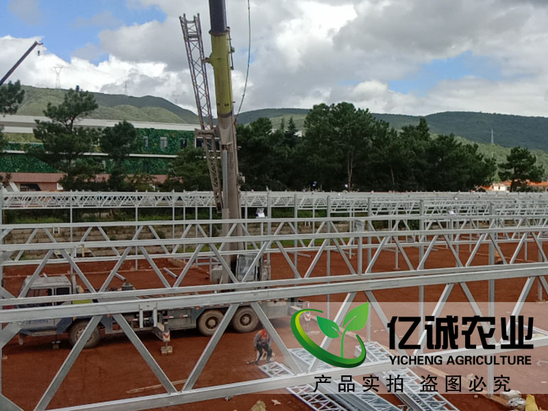 建一畝地溫室大棚多錢？