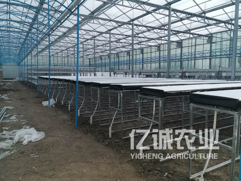 鳥(niǎo)巢溫室大棚