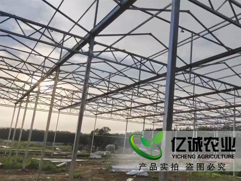 智能蔬菜溫室大棚 智能蔬菜溫室大棚